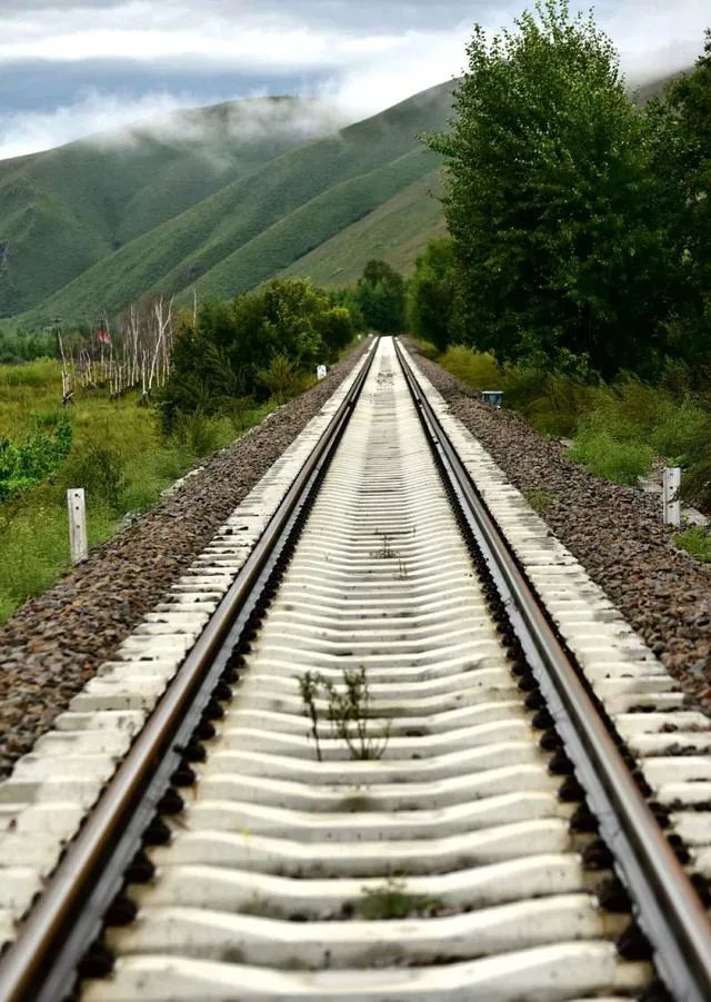 家庭教育的案例_案例家庭教育的重要性_案例家庭教育心得體會