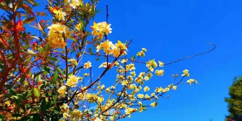 初中重要性家庭教育學生怎么寫_初中孩子的家庭教育重點_初中學生家庭教育的重要性