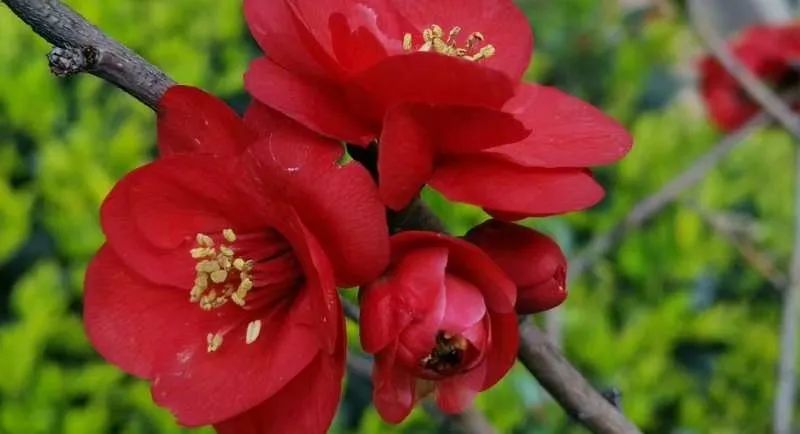 初中重要性家庭教育學生怎么寫_初中學生家庭教育的重要性_初中孩子的家庭教育重點