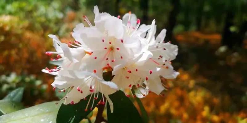 初中學生家庭教育的重要性_初中孩子的家庭教育重點_初中重要性家庭教育學生怎么寫